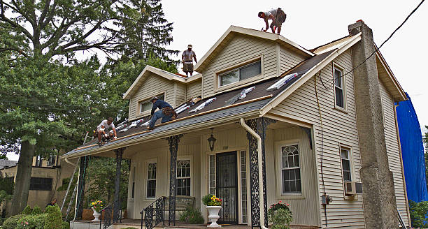 Best Metal Roofing Contractor  in West Salem, WI